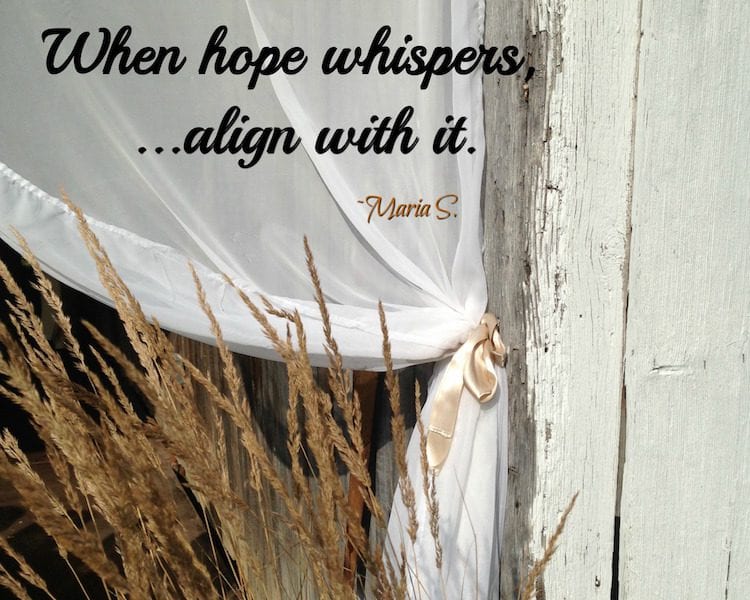 window in a cornfield, when hope whispers, align with it...