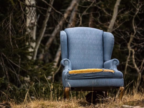 chair in the woods