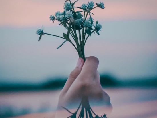 woman's hand holding plant in sunset
