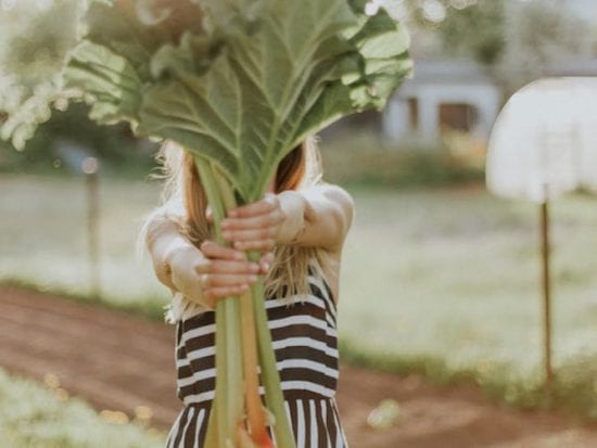 woman holding kale plant summertime