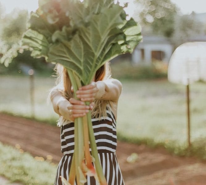 woman holding kale plant summertime