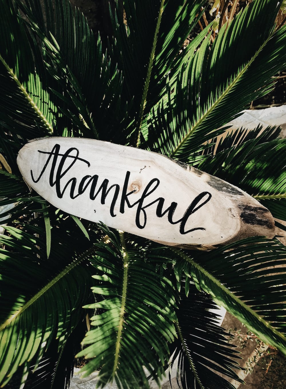 a stone that says thankful in a seat of palm fronds