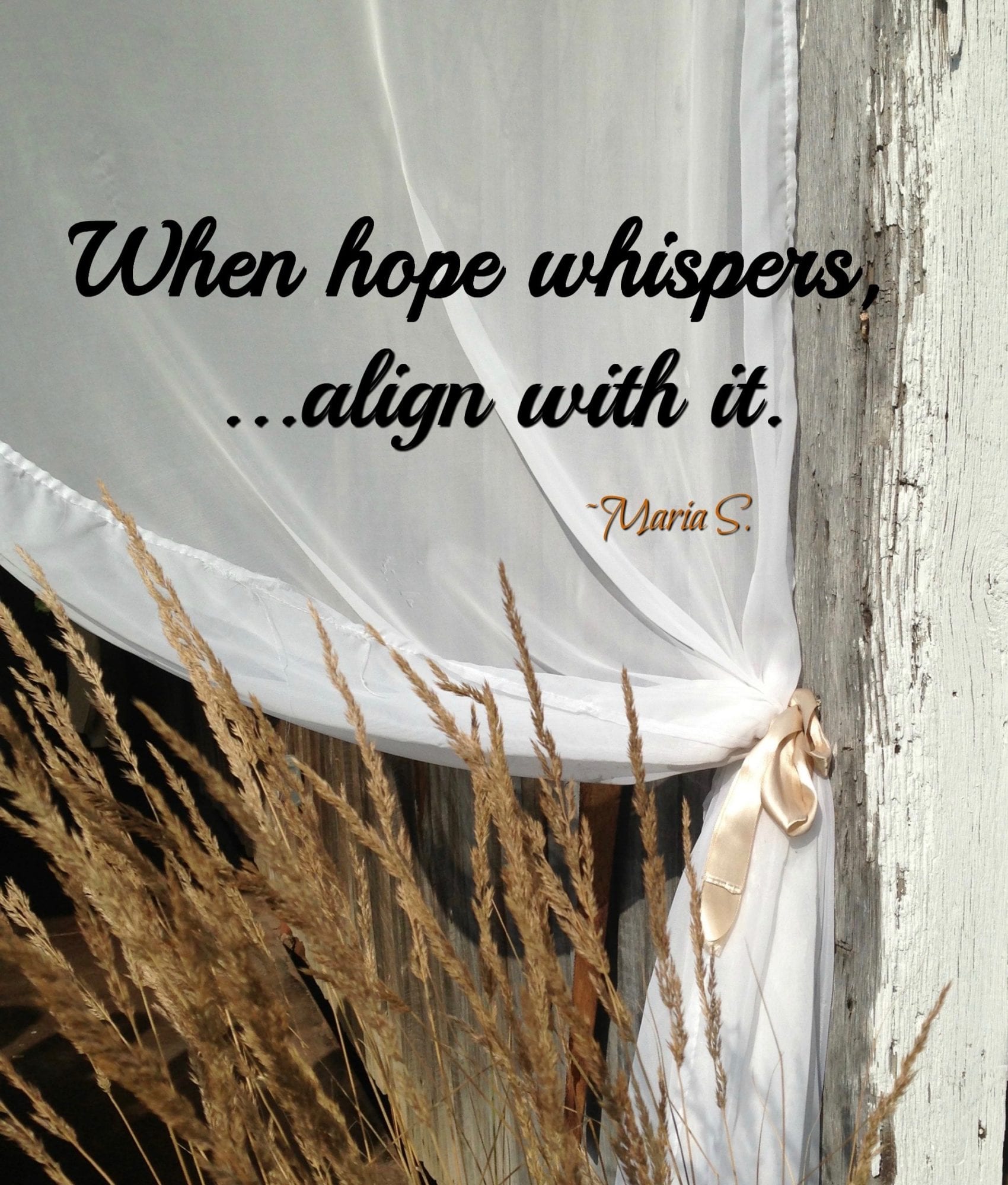 when hope whispers, align with it - maria sylvester with curtain backdrop