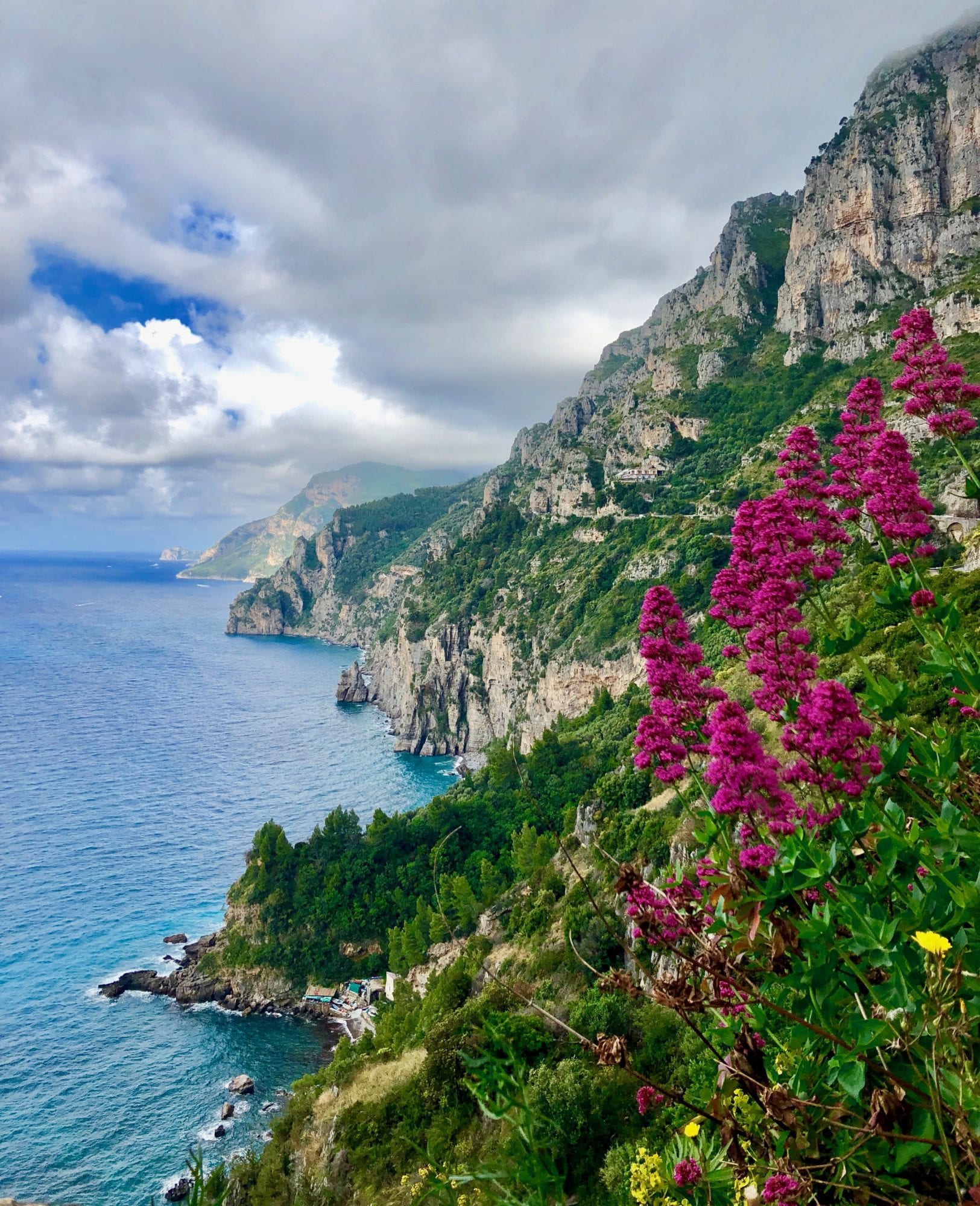 beautiful cliffs oceanside with fucia flowers growing